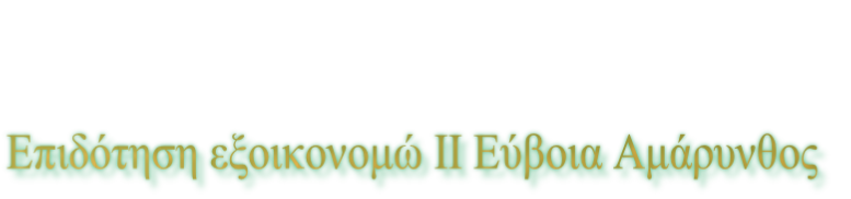 Επιδότηση εξοικονομώ ΙΙ Εύβοια Αμάρυνθος