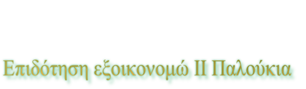 Επιδότηση εξοικονομώ ΙΙ Παλούκια