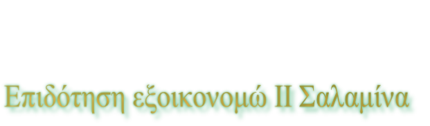 Επιδότηση εξοικονομώ ΙΙ Σαλαμίνα