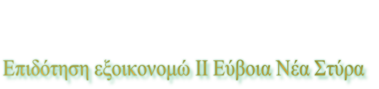 Επιδότηση εξοικονομώ ΙΙ Εύβοια Νέα Στύρα