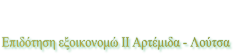 Επιδότηση εξοικονομώ ΙΙ Αρτέμιδα - Λούτσα