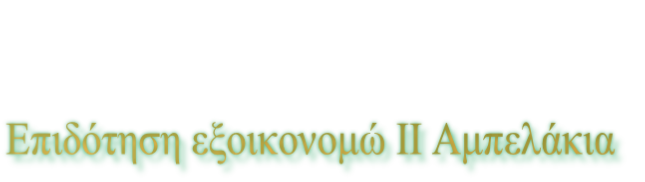 Επιδότηση εξοικονομώ ΙΙ Αμπελάκια