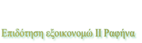 Επιδότηση εξοικονομώ ΙΙ Ραφήνα