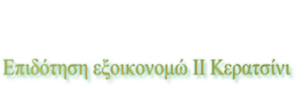 Επιδότηση εξοικονομώ ΙΙ Κερατσίνι